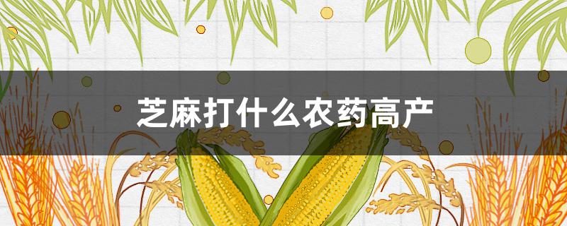 芝麻打什么农药高产 芝麻打什么药产量最高