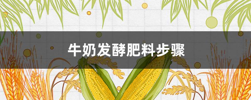 牛奶發(fā)酵肥料步驟（牛奶發(fā)酵肥料步驟圖）