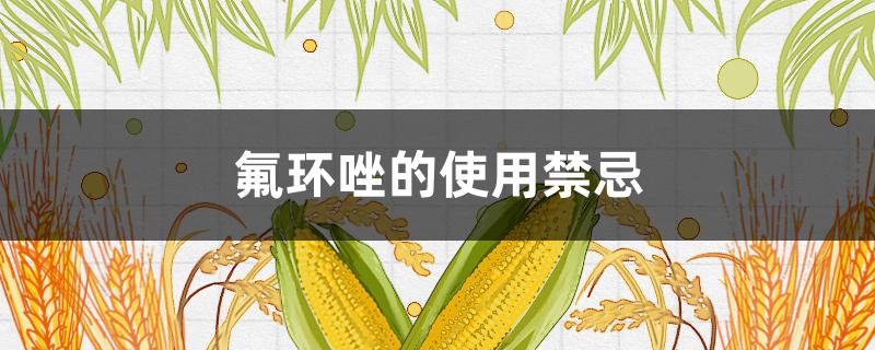 氟環(huán)唑的使用禁忌 丙環(huán)唑使用禁忌