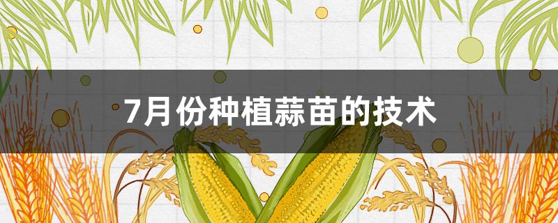 7月份种植蒜苗的技术 7月份种植蒜苗的技术视频