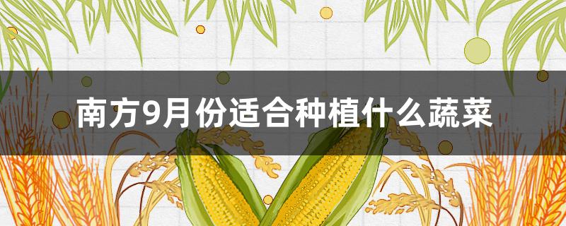 南方9月份适合种植什么蔬菜 南方9月份适合种植什么蔬菜呢