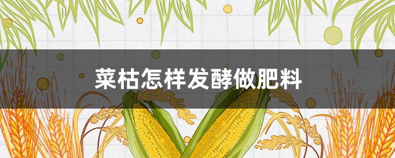 菜枯怎樣發(fā)酵做肥料 菜枯怎樣發(fā)酵做肥料不臭