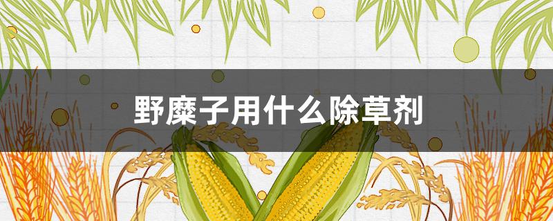 野糜子用什么除草劑