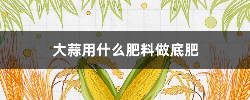 大蒜用什么肥料做底肥（大蒜用什么肥料做底肥比较好）