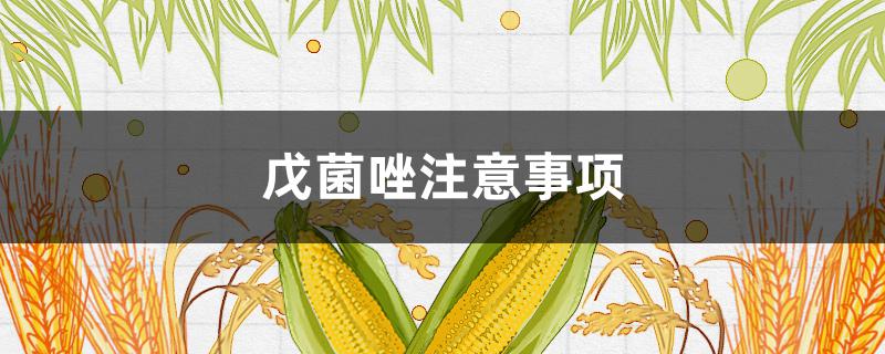 戊菌唑注意事項(xiàng) 戊菌唑使用說(shuō)明書(shū)