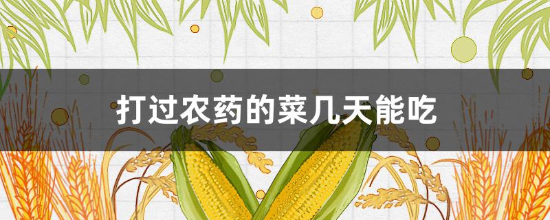 打过农药的菜几天能吃（打了农药的菜几天以后才能吃）