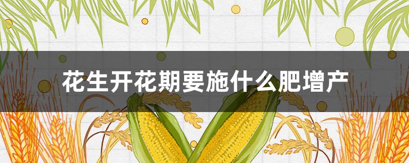 花生开花期要施什么肥增产（花生开花期施什么肥料）