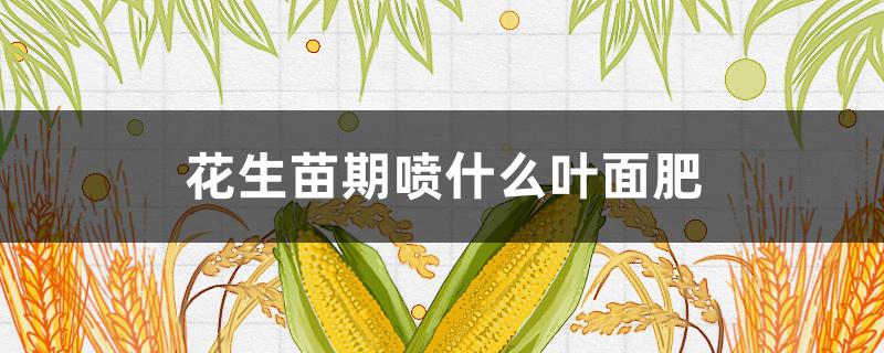 花生苗期喷什么叶面肥（花生后期需要喷什么叶面肥）