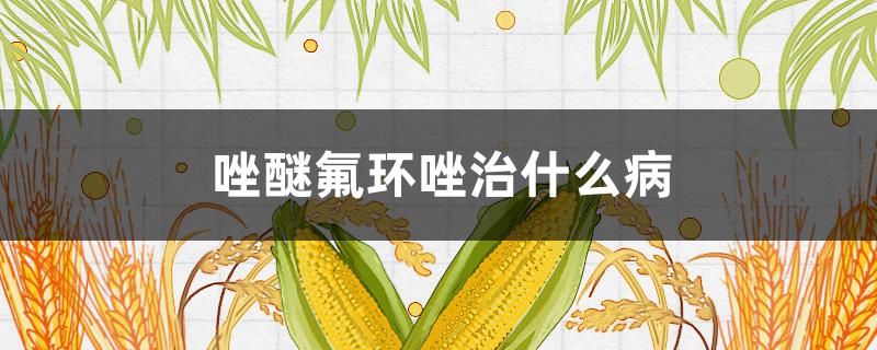 唑醚氟環(huán)唑治什么?。ㄟ蛎逊h(huán)唑治什么病多少錢）