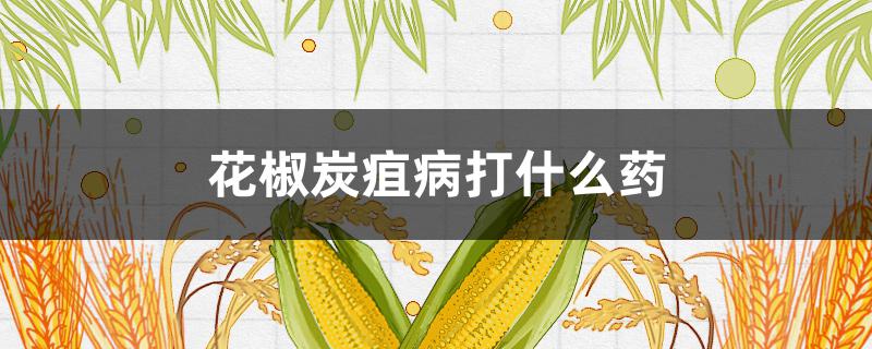 花椒炭疽病打什么藥（花椒樹(shù)炭疽病用什么農(nóng)藥最好）