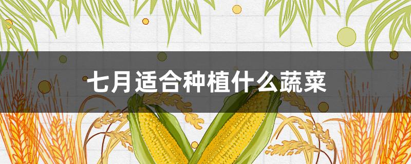 七月适合种植什么蔬菜 北方七月适合种植什么蔬菜