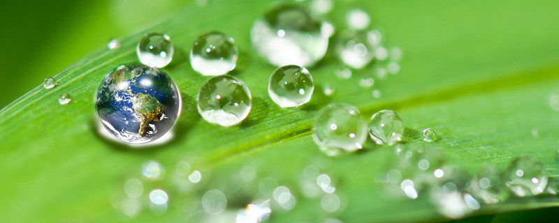 打除草剂有露水可以打吗（打除草剂早上有露水打有没有关系）