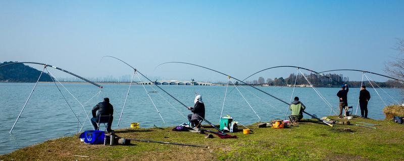 釣魚技巧 釣魚技巧與經(jīng)驗