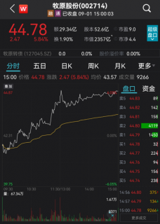 “大家趁機(jī)多吃多買豬肉！”農(nóng)業(yè)農(nóng)村部發(fā)聲：生豬產(chǎn)能已完全恢復(fù)…機(jī)構(gòu)：豬價短期或迎反彈行情