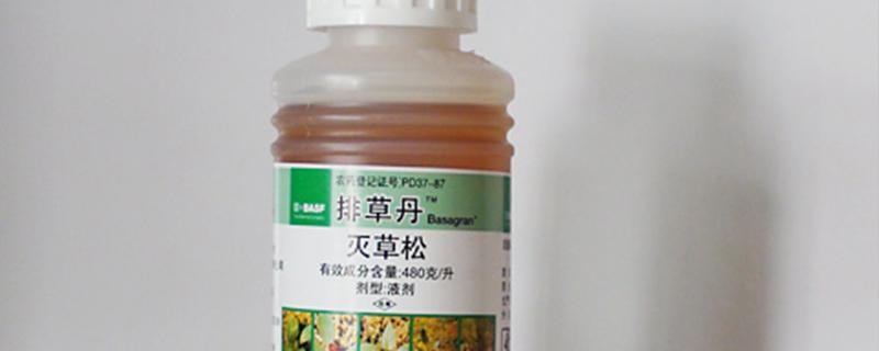 滅草松除草劑使用范圍 滅草松除草劑使用范圍打黃豆可以嗎