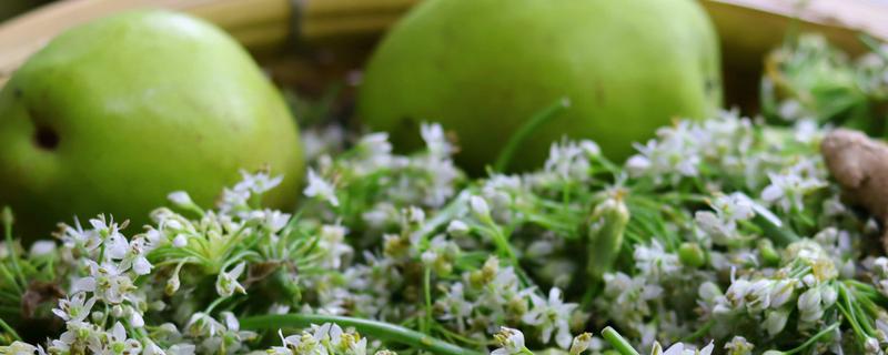 老了的韭菜花可以腌制嗎，附韭菜花醬的制作方法