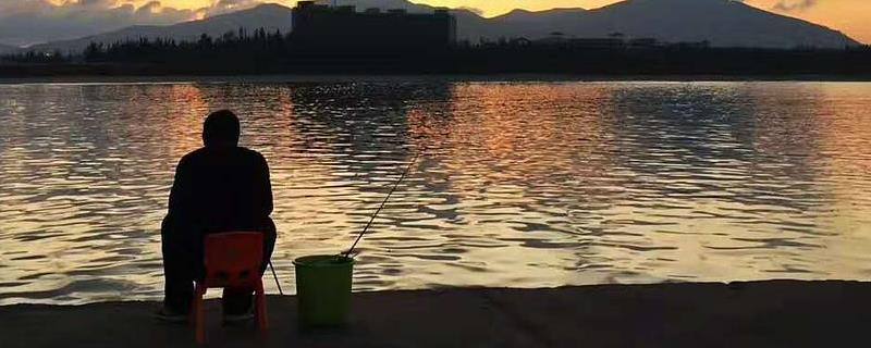 釣草魚可以在10度左右嗎，附最佳溫度（10度左右怎么釣草魚）