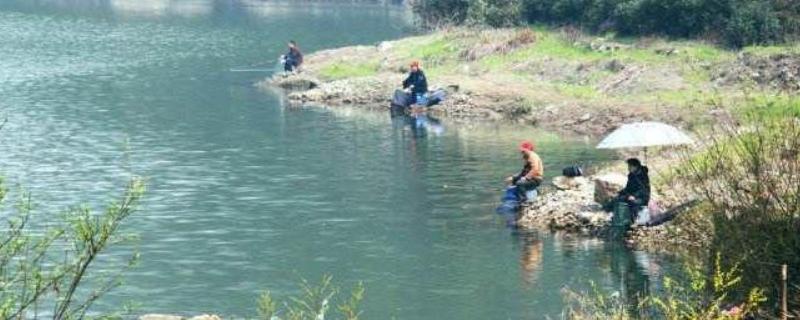 溪流釣用什么釣餌 溪流釣用什么魚餌