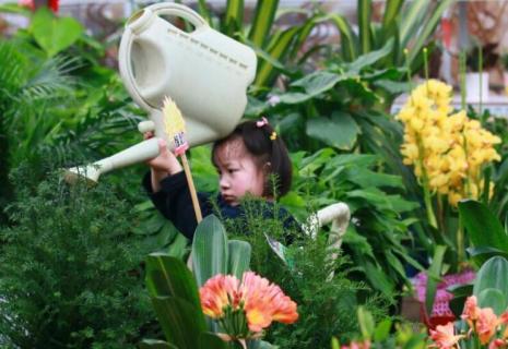 黃酒在養(yǎng)花中的妙用 黃酒在養(yǎng)花中的妙用視頻