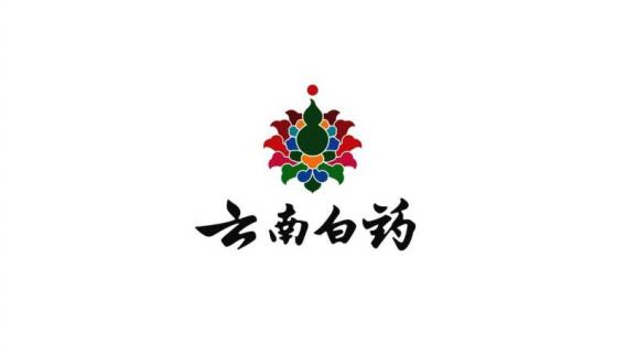 云南白藥苗長啥樣子（云南白藥苗長啥樣子開花嗎）