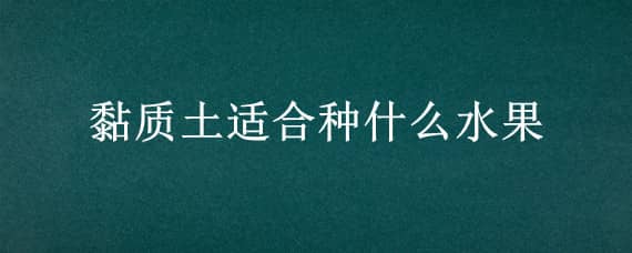 黏质土适合种什么水果（黏质土适合种什么水果蔬菜）