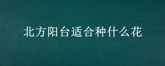 北方阳台适合种什么花 北方阳台养什么花好