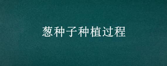 葱种子种植过程 葱的种子怎么种过程