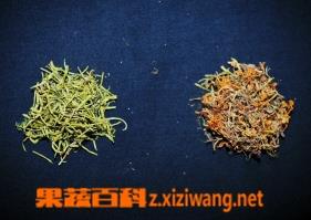 金銀花與山銀花的鑒別 金銀花與山銀花的鑒別實(shí)驗(yàn)報(bào)告