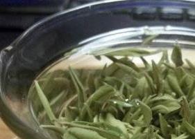 溧陽(yáng)白茶的功效與作用 喝溧陽(yáng)白茶的好處