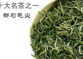 都匀毛尖茶（都匀毛尖茶简介）