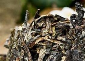 普洱茶生茶砖和白茶有什么区别（普洱茶砖属于生茶还是熟茶）