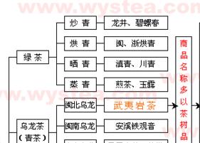 茶葉分類圖 茶葉分類圖片