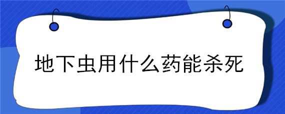 地下虫用什么药能杀死 地下虫用什么药能杀死呢