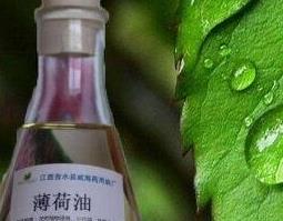 薄荷油的功效与作用