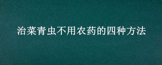 治菜青虫不用农药的四种方法 治菜青虫不用农药的四种方法是