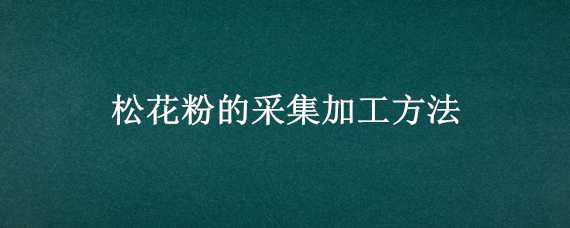 松花粉的采集加工方法 松花粉的采集與加工