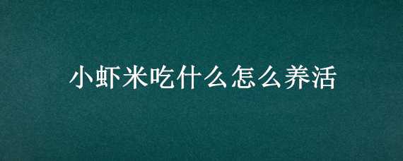 小蝦米吃什么怎么養(yǎng)活（小蝦米吃什么才能養(yǎng)活）