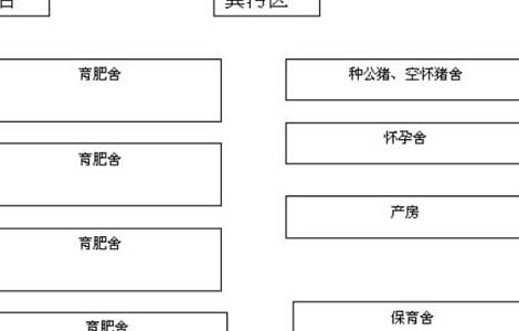 100头母猪养猪场设计图（农村10头母猪养猪场设计）