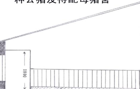 种公猪、待配母猪舍示意图