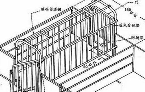 母猪定位栏的安装 母猪定位栏安装效果图