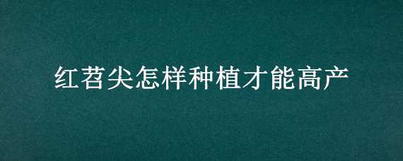 红苕尖怎样种植才能高产 红苕尖怎样种植才能高产一些