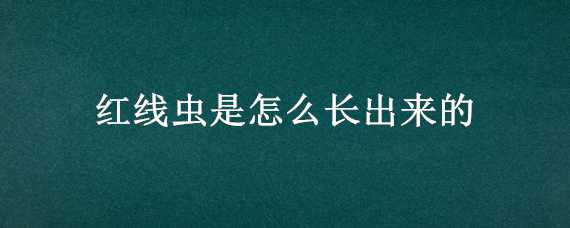 紅線蟲是怎么長出來的（紅線蟲長什么樣子）