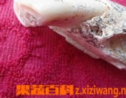 龍齒的功效與作用簡介 龍齒的功效與作用簡介視頻