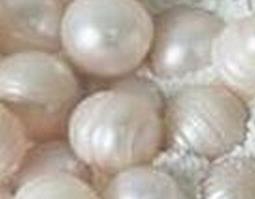 怎么正确服用珍珠粉 怎么正确服用珍珠粉的方法