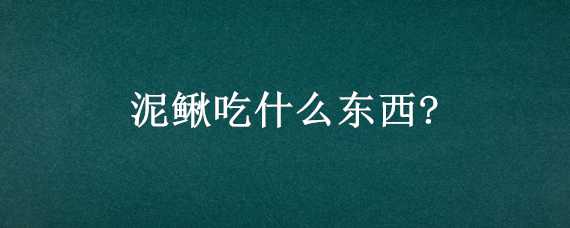 泥鳅吃什么东西? 泥鳅吃什么东西才能活下去