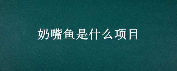 奶嘴鱼是什么项目（奶嘴鱼项目投多少钱）