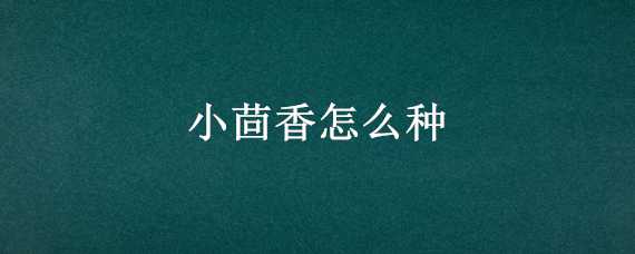 小茴香怎么种 小茴香怎么种植