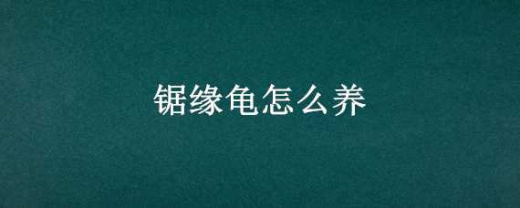 锯缘龟怎么养 锯缘龟怎么养不臭