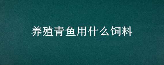 養(yǎng)殖青魚(yú)用什么飼料（養(yǎng)殖青魚(yú)用什么飼料好）