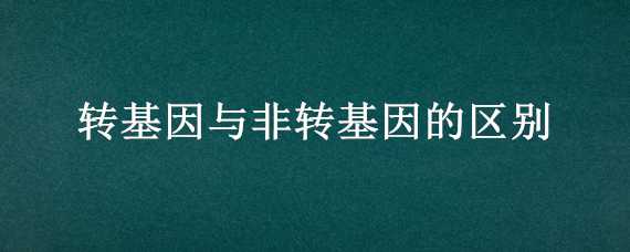 转基因与非转基因的区别 食用油转基因与非转基因的区别